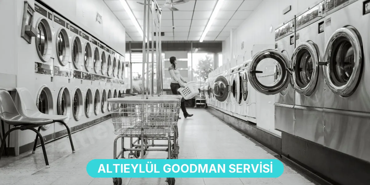 Altıeylül Goodman Servisi