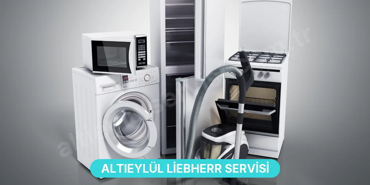 Altıeylül Liebherr Servisi
