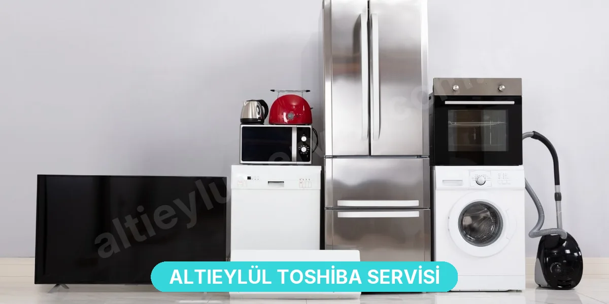 Altıeylül Toshiba Servisi